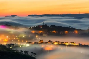 Tháng 12 Đà Lạt – Mùa hoa dã quỳ rực rỡ